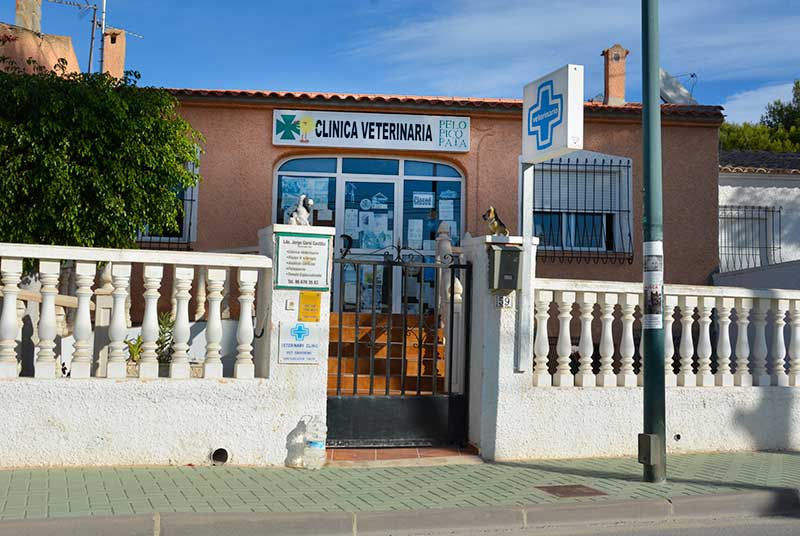 Vet Pinar de Campoverde